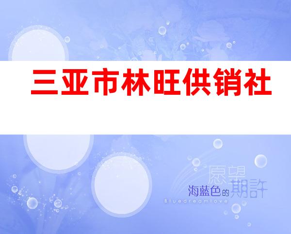 三亚市林旺供销社