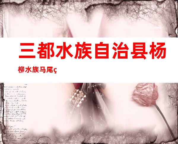 三都水族自治县杨柳水族马尾绣产业发展农民专业合作社