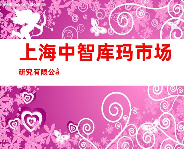 上海中智库玛市场研究有限公司