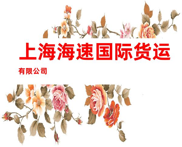 上海海速国际货运有限公司