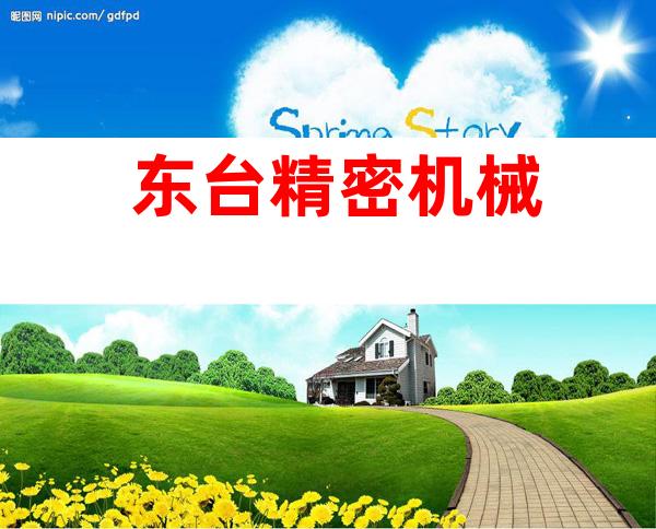 东台精密机械