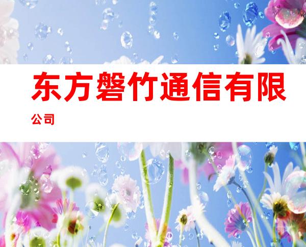 东方磐竹通信有限公司