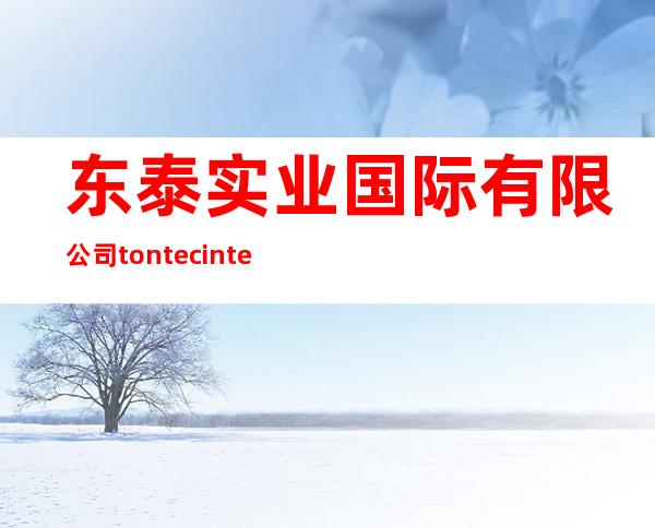 东泰实业国际有限公司 tontec international limited