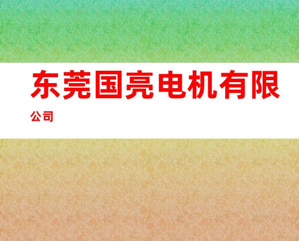 东莞国亮电机有限公司