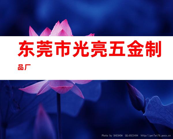 东莞市光亮五金制品厂