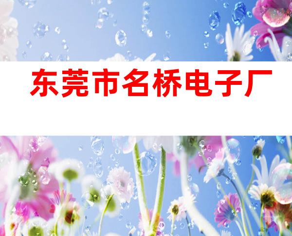 东莞市名桥电子厂