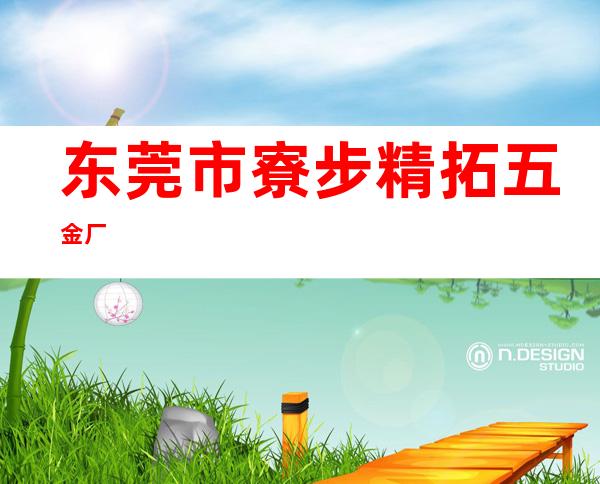 东莞市寮步精拓五金厂