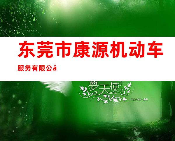 东莞市康源机动车服务有限公司