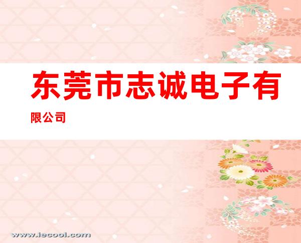东莞市志诚电子有限公司