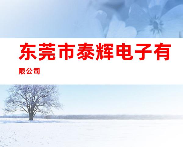 东莞市泰辉电子有限公司