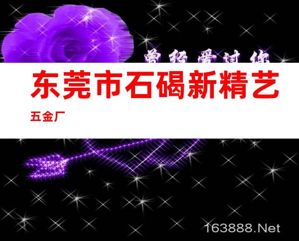 东莞市石碣新精艺五金厂