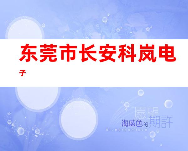 东莞市长安科岚电子