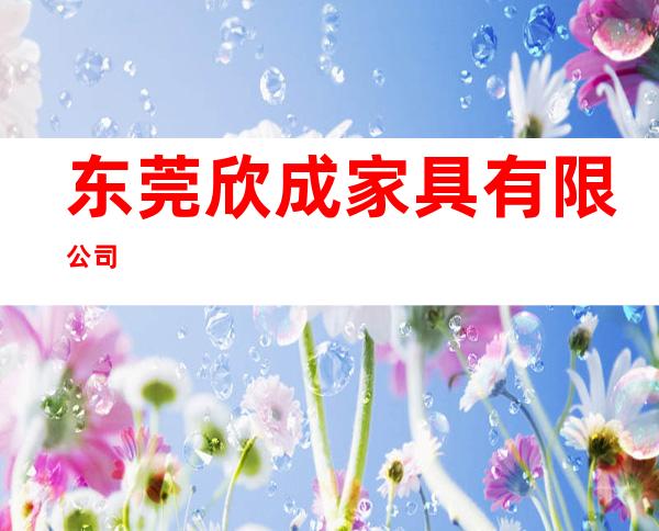 东莞欣成家具有限公司