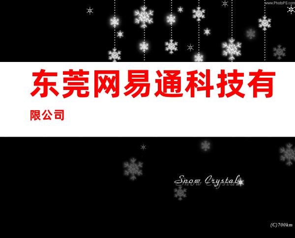 东莞网易通科技有限公司