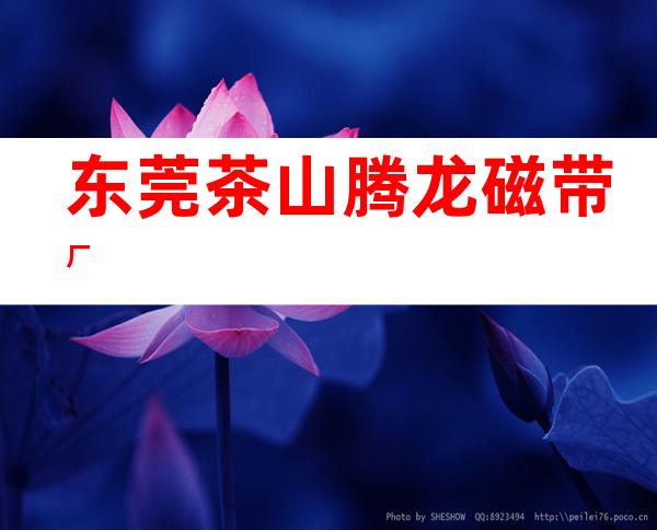 东莞茶山腾龙磁带厂