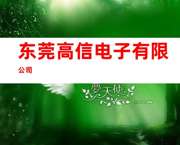 东莞高信电子有限公司