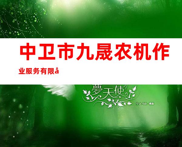 中卫市九晟农机作业服务有限公司