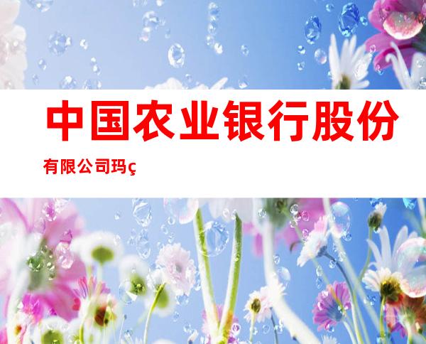 中国农业银行股份有限公司玛纳斯县支行
