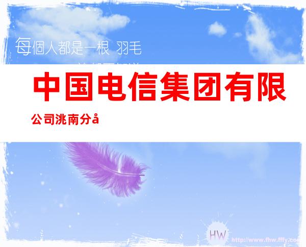 中国电信集团有限公司洮南分公司