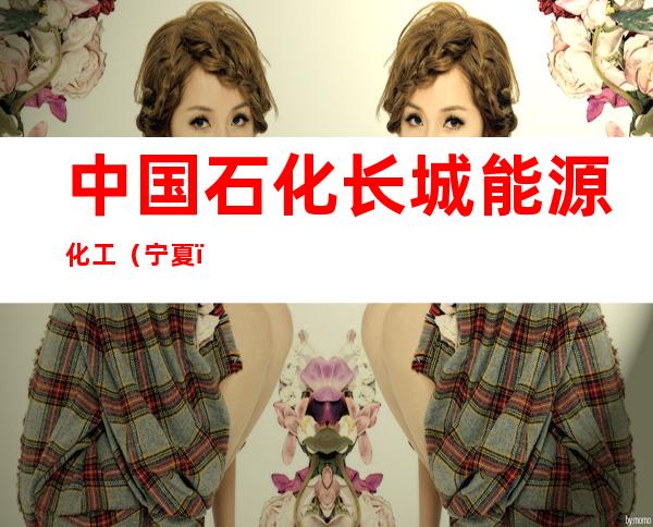 中国石化长城能源化工（宁夏）有限公司宋新庄煤矿