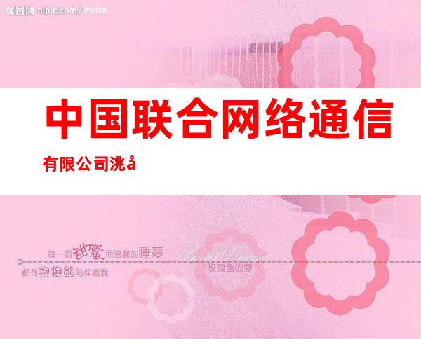 中国联合网络通信有限公司洮南市分公司