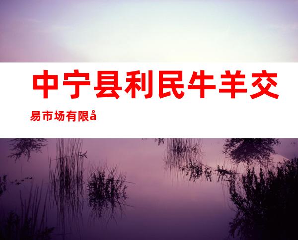 中宁县利民牛羊交易市场有限公司