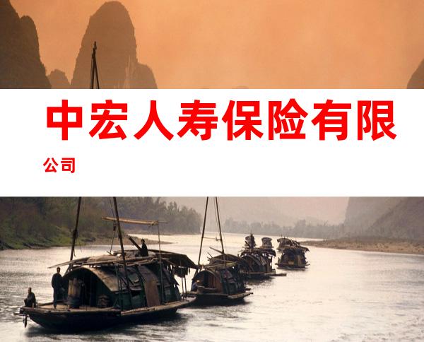 中宏人寿保险有限公司