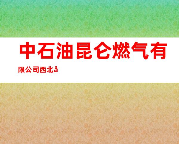 中石油昆仑燃气有限公司西北分公司