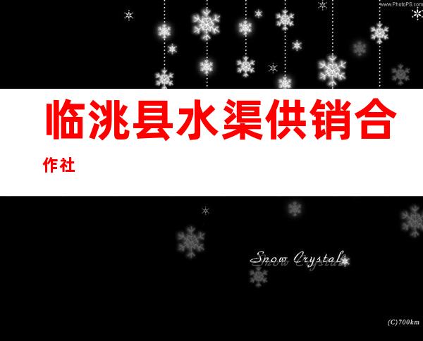 临洮县水渠供销合作社