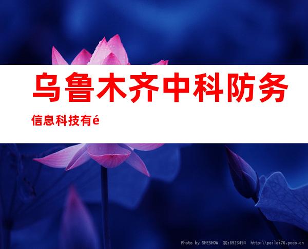乌鲁木齐中科防务信息科技有限公司