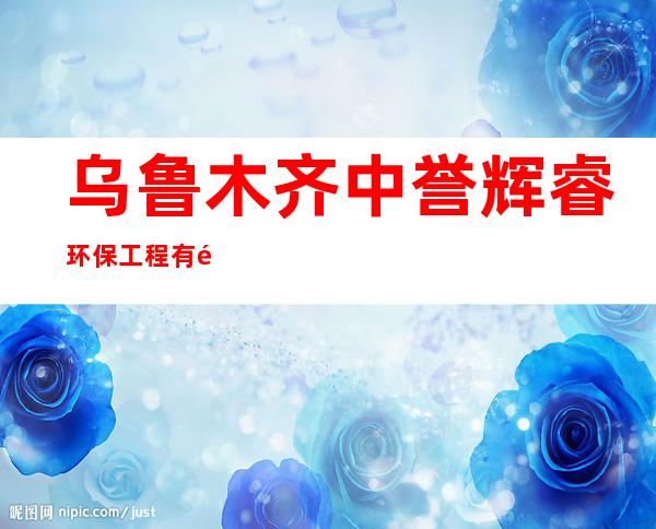 乌鲁木齐中誉辉睿环保工程有限公司