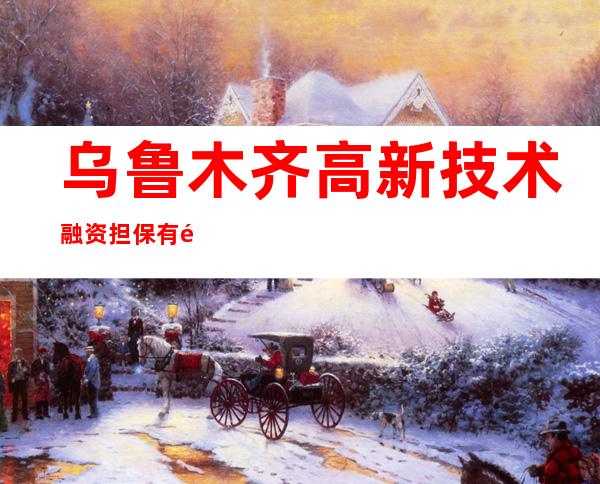 乌鲁木齐高新技术融资担保有限公司