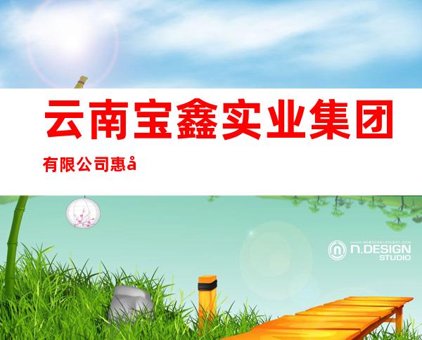 云南宝鑫实业集团有限公司惠农分公司