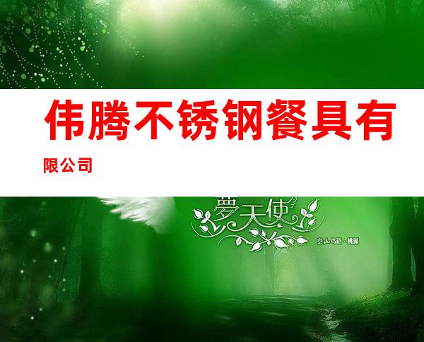 伟腾不锈钢餐具有限公司