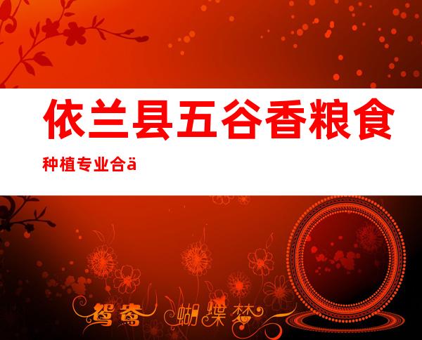 依兰县五谷香粮食种植专业合作社