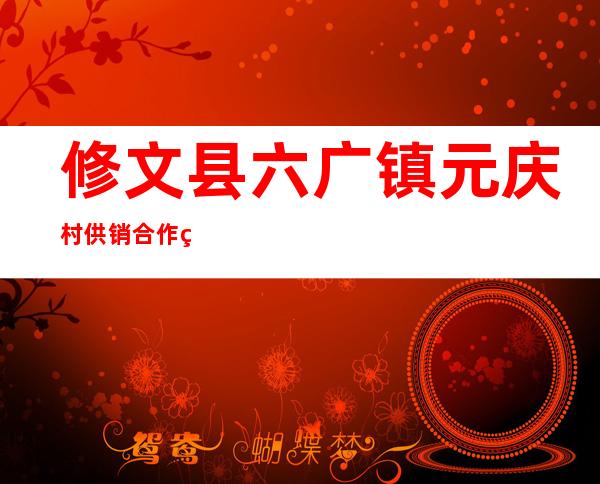 修文县六广镇元庆村供销合作社