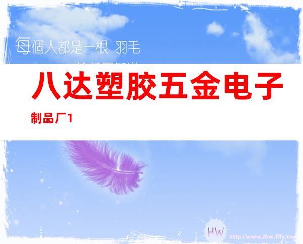 八达塑胶五金电子制品厂1