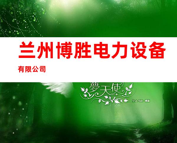 兰州博胜电力设备有限公司