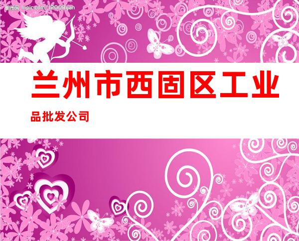 兰州市西固区工业品批发公司