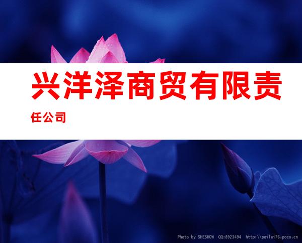 兴洋泽商贸有限责任公司