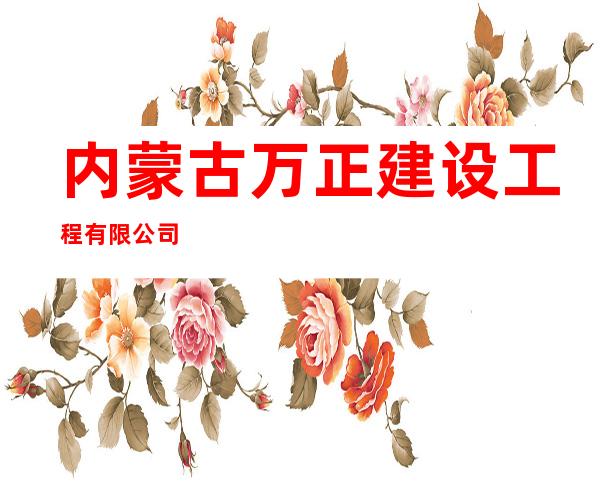 内蒙古万正建设工程有限公司