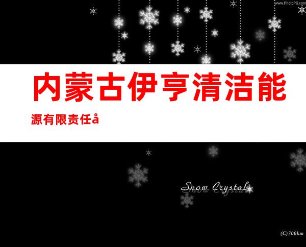 内蒙古伊亨清洁能源有限责任公司
