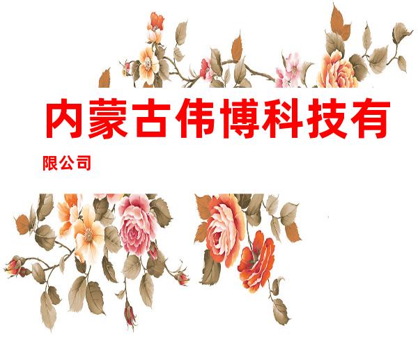内蒙古伟博科技有限公司