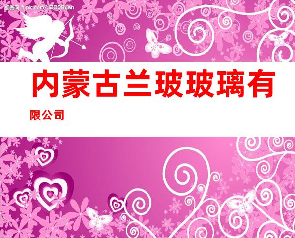 内蒙古兰玻玻璃有限公司