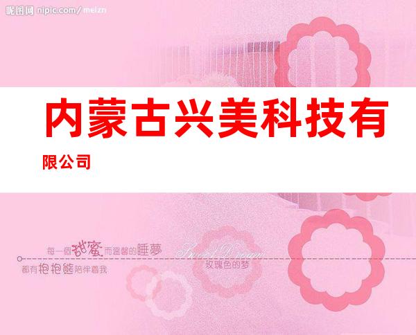 内蒙古兴美科技有限公司