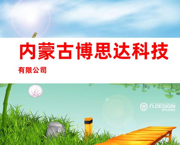 内蒙古博思达科技有限公司