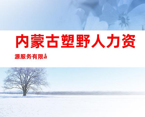 内蒙古塑野人力资源服务有限公司