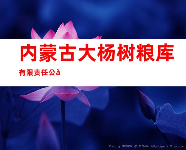 内蒙古大杨树粮库有限责任公司