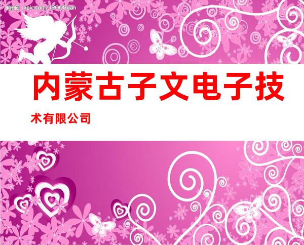 内蒙古子文电子技术有限公司