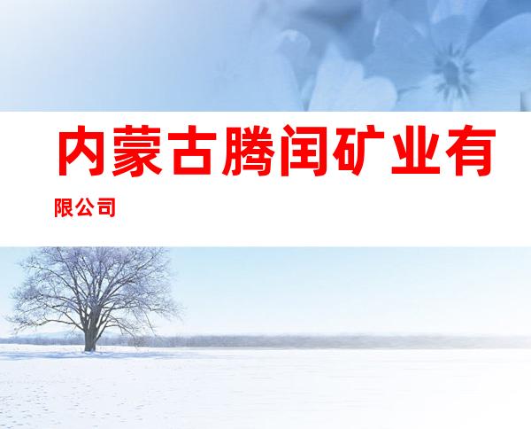 内蒙古腾闰矿业有限公司